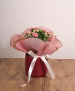 Pembe Kalanchoe Saks Aranjman