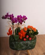Orkide ve Kalanchoe Tasarm Saks Aranjman