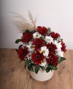 Krmz ve Beyaz Gerbera Aranjman