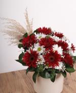 Krmz ve Beyaz Gerbera Aranjman