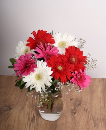 Gerbera Ak  Renkli Gerbera Buketi