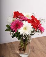 Gerbera Ak  Renkli Gerbera Buketi