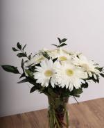 Beyaz Gerbera Vazoda Aranjman 