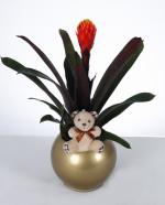 Altn Saksda Bromelia ve Pelu Ayck Aranjman