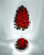 Krmz Gerbera Cenaze elengi  Anlaml ve Zarif Bir Veda
