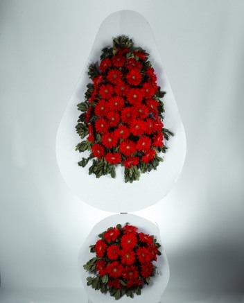 Krmz Gerbera Cenaze elengi  Anlaml ve Zarif Bir Veda