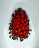 Krmz Gerbera Cenaze elengi  Anlaml ve Zarif Bir Veda