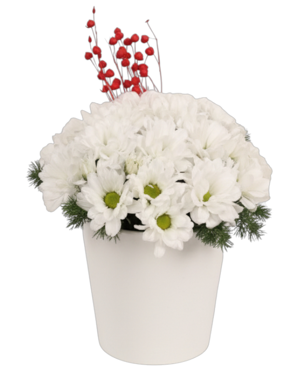 Seramikte Beyaz Papatyalar