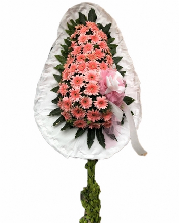 Pembe gerbera ayakl elenk