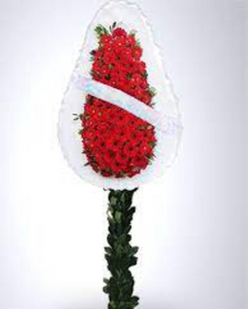 Krmz Gerbera ile Ayakl elenk bayrampasa