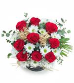 Kutuda K�rm�z� G�l ve Papatya