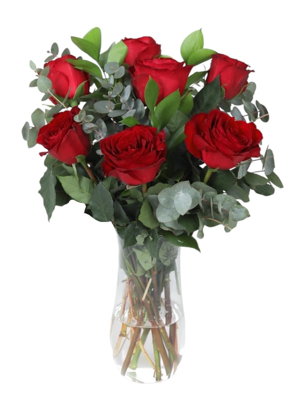 Vazoda 7 K�rm�z� G�l