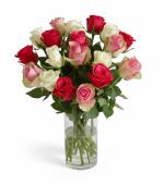 Vazoda Kar���k G�ller