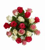 Vazoda Kar���k G�ller