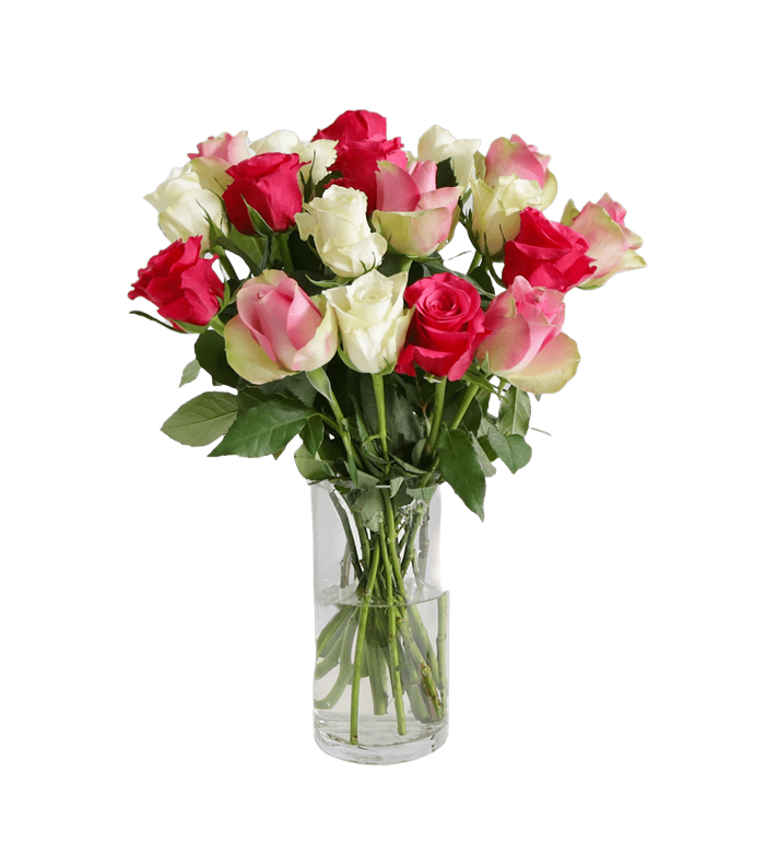 Vazoda Kar���k G�ller